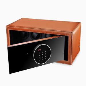 moderno caja fuerte relojes